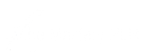 Niche Mastery PLR